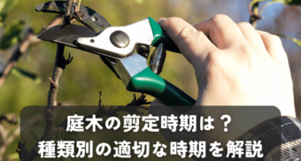 庭木の剪定時期？種類別に適切な時期を知って美しい庭を維持しよう