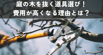 庭の木を抜く道具選び！手入れの費用が高くなる理由とは？