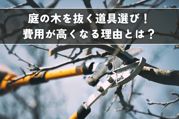 庭の木を抜く道具選び！手入れの費用が高くなる理由とは？