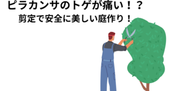 ピラカンサのトゲが痛い！？剪定で安全に美しい庭作り！