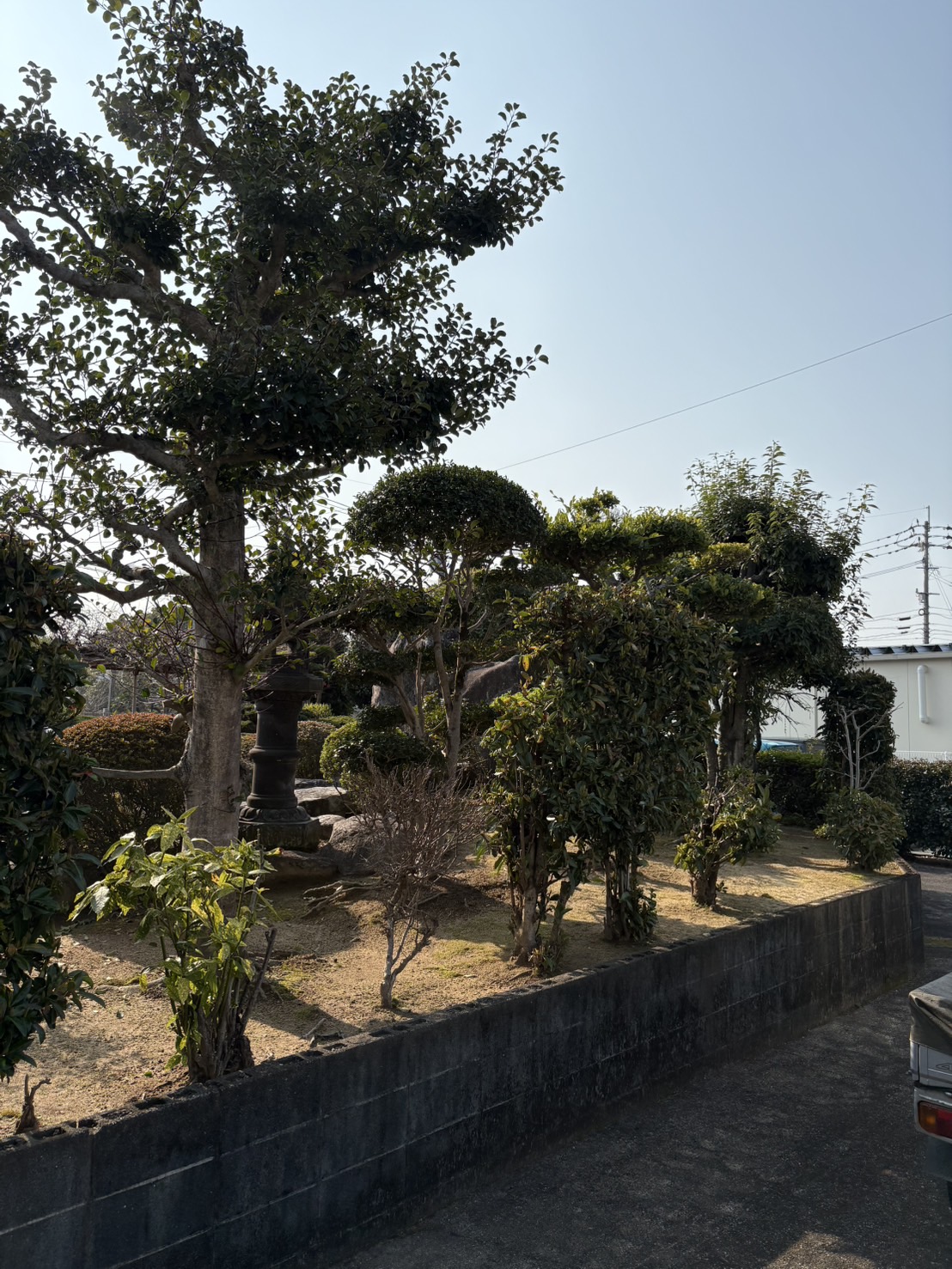 BEFORE