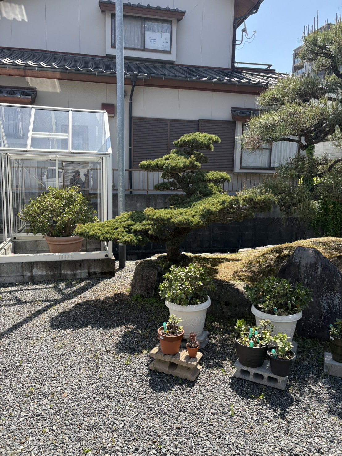 BEFORE