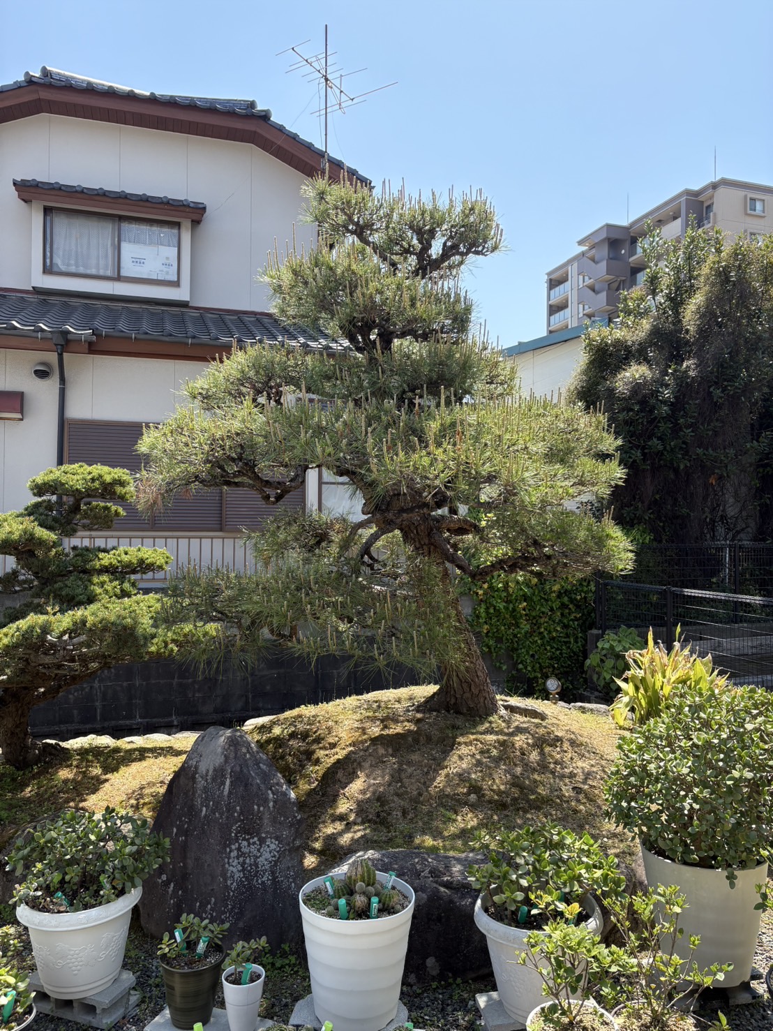 BEFORE