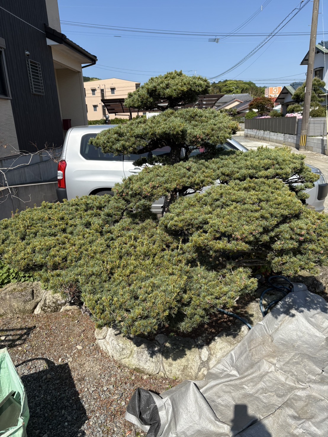 BEFORE