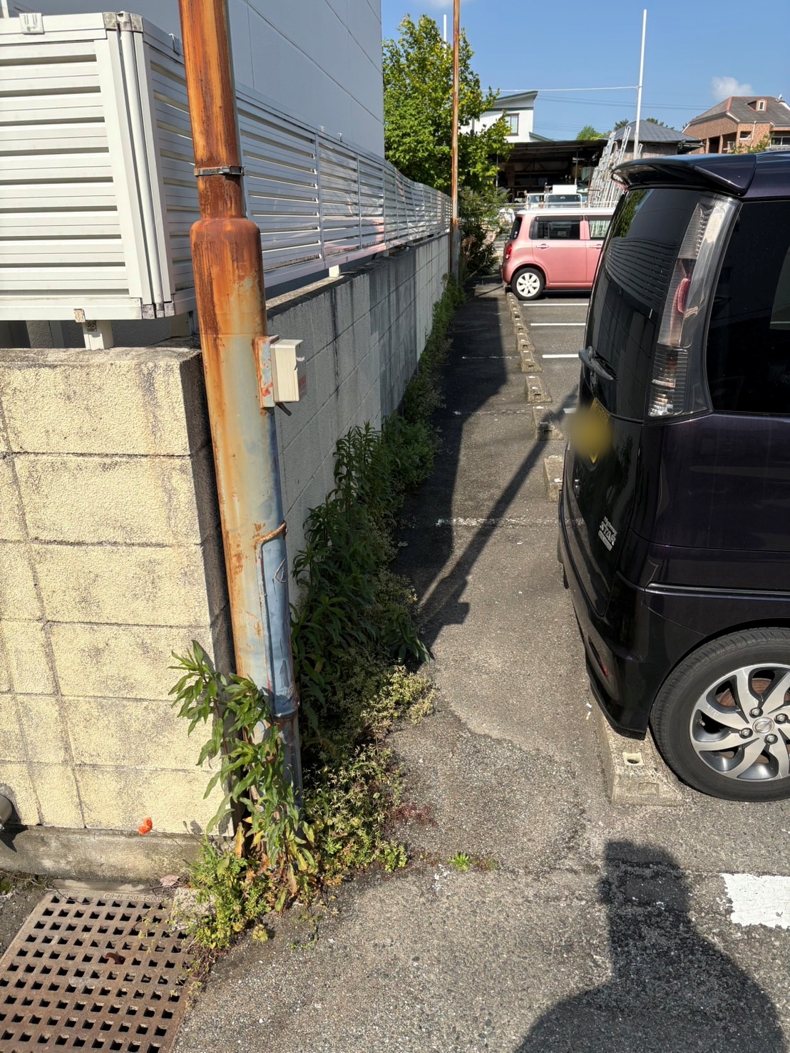 BEFORE