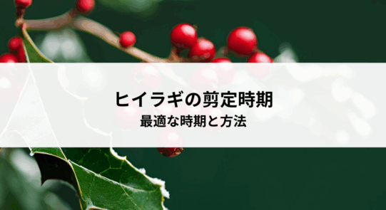 ヒイラギの剪定時期とは？最適な時期と方法を解説