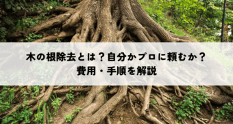 木の根除去とは？自分でできる？プロに頼む？費用・手順を解説