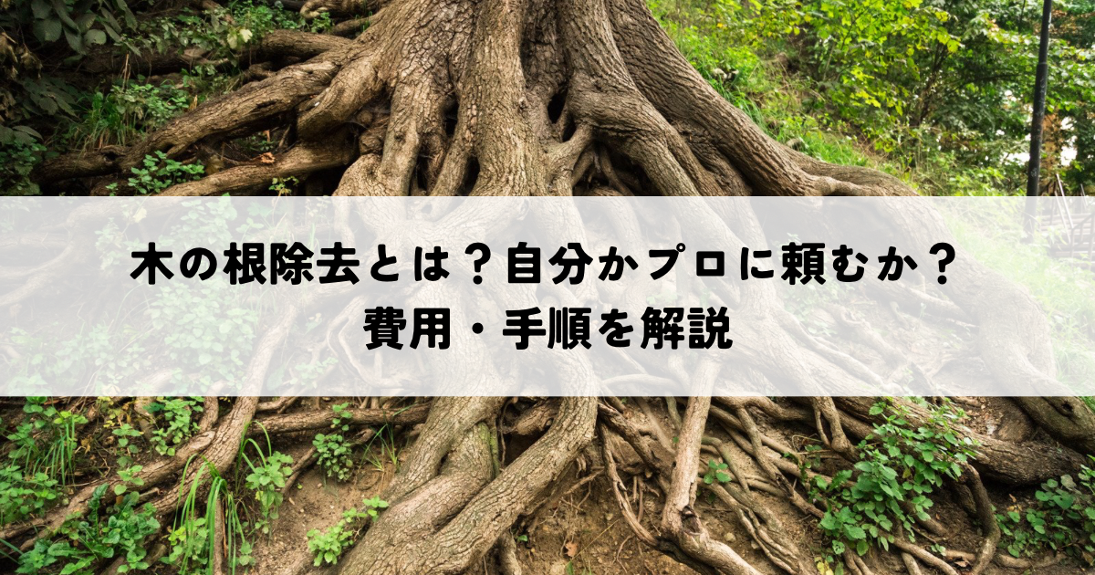 木の根除去とは?自分でできる?プロに頼む?費用・手順を解説