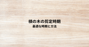 槙の木の剪定時期とは？最適な時期と方法を解説