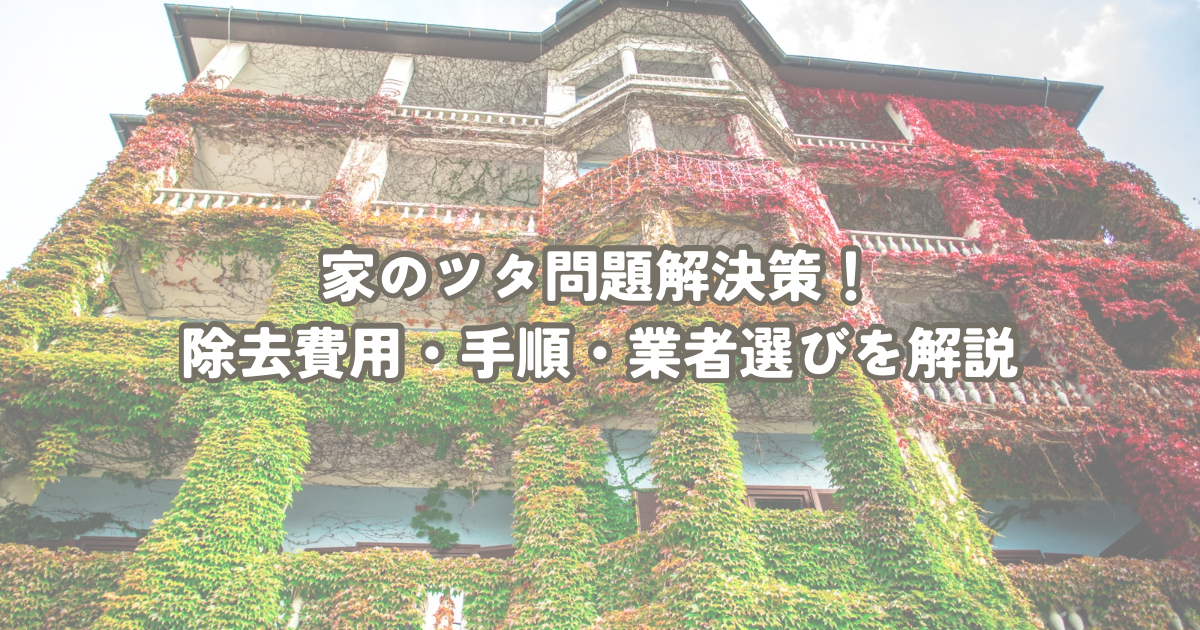 家のツタ問題解決策！除去費用・手順・業者選びを解説