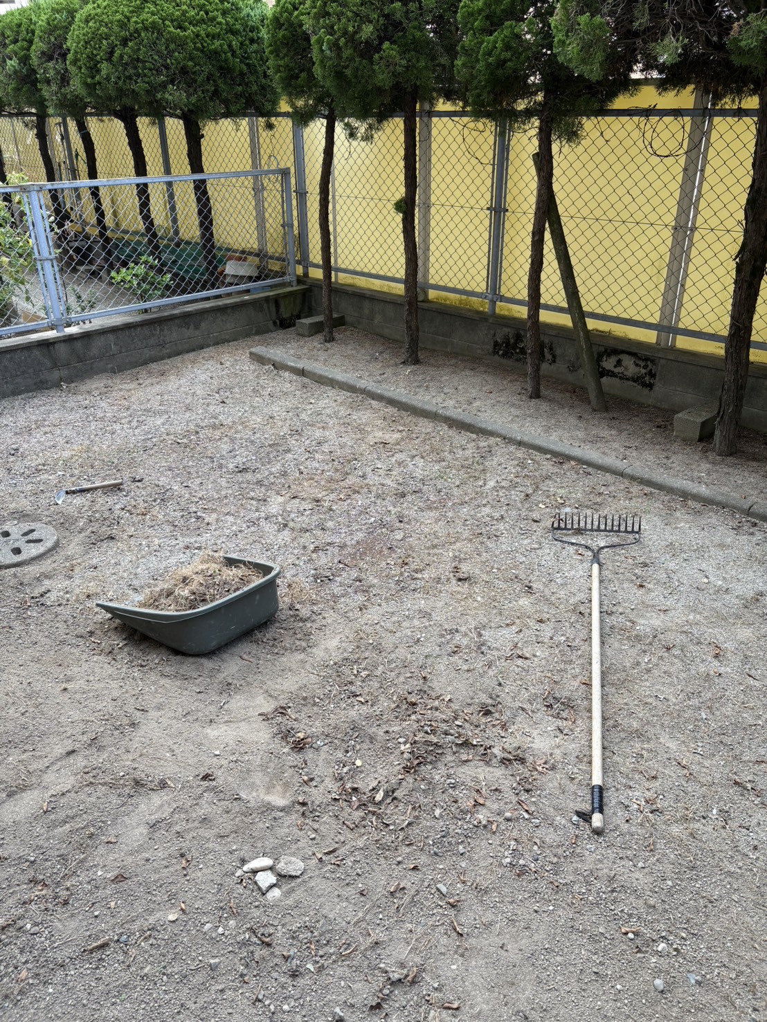 BEFORE