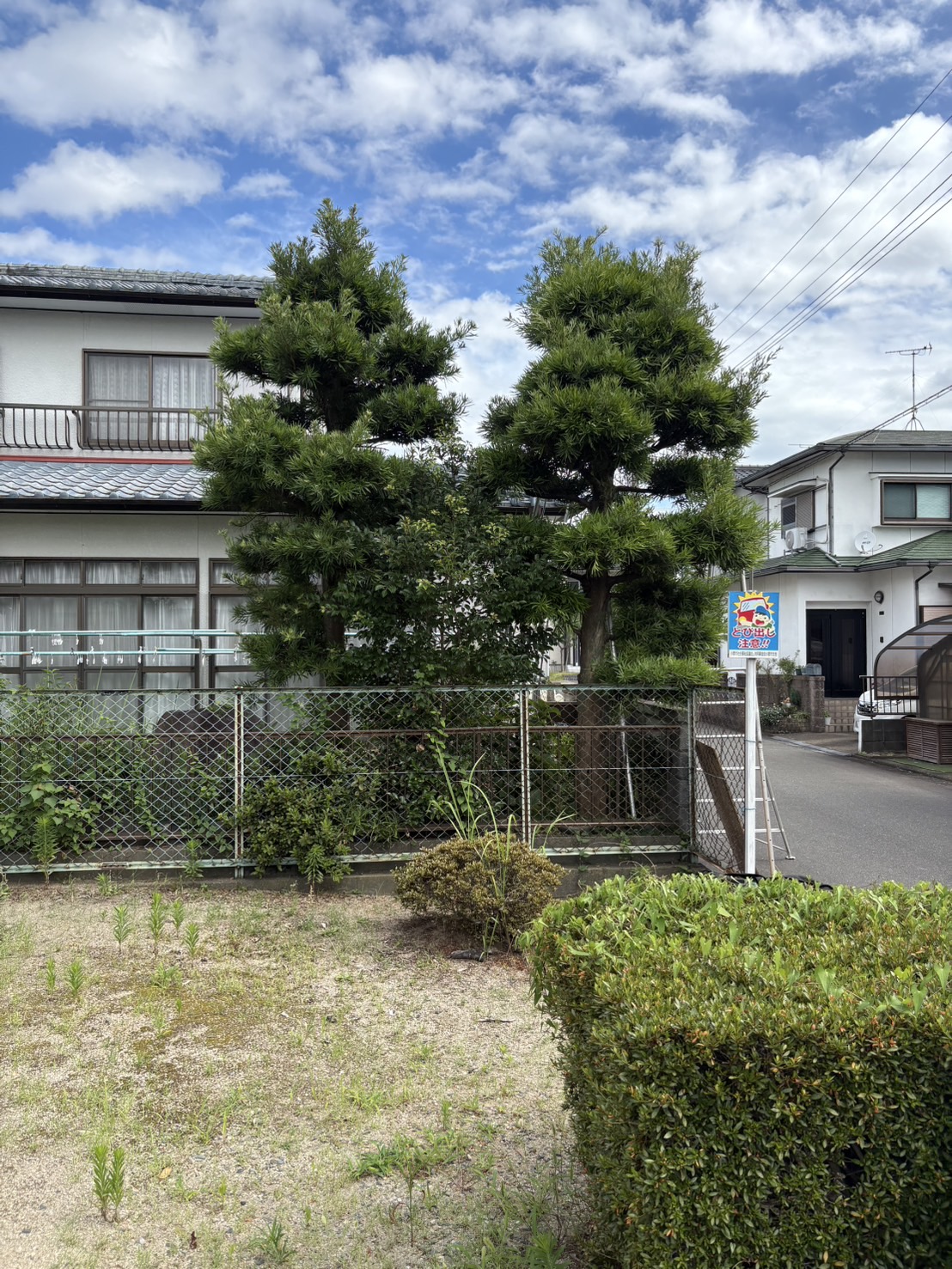 BEFORE