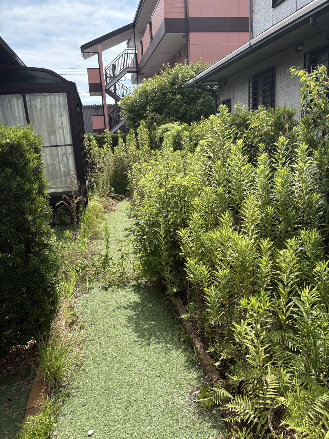 BEFORE