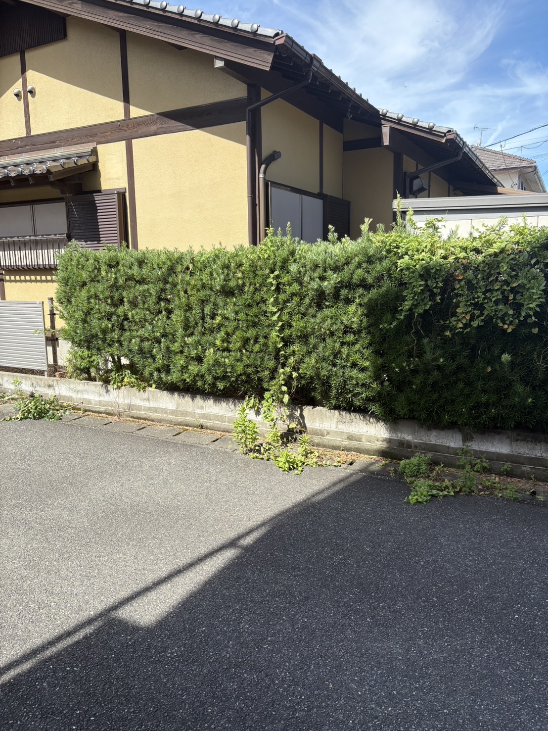 BEFORE