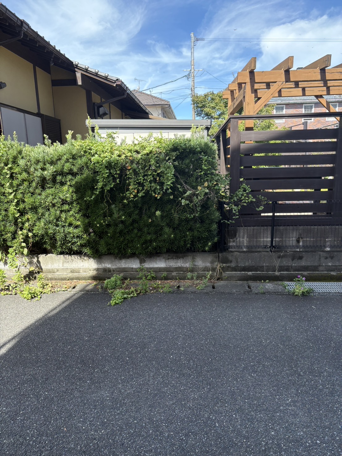 BEFORE