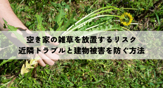 空き家の雑草を放置するリスクとは？近隣トラブルと建物被害を防ぐ方法について解説