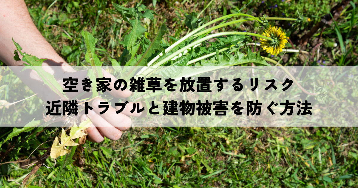 空き家の雑草を放置するリスクとは？近隣トラブルと建物被害を防ぐ方法について解説