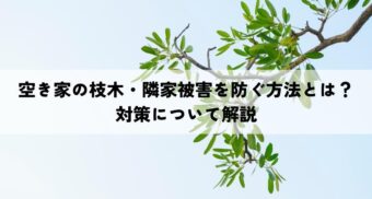空き家の枝木・隣家被害を防ぐ方法とは？対策についてわかりやすく解説