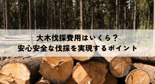 大木伐採費用はいくら？安心安全な伐採を実現するためのポイントを解説