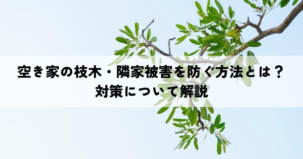 空き家の枝木・隣家被害を防ぐ方法とは？対策についてわかりやすく解説