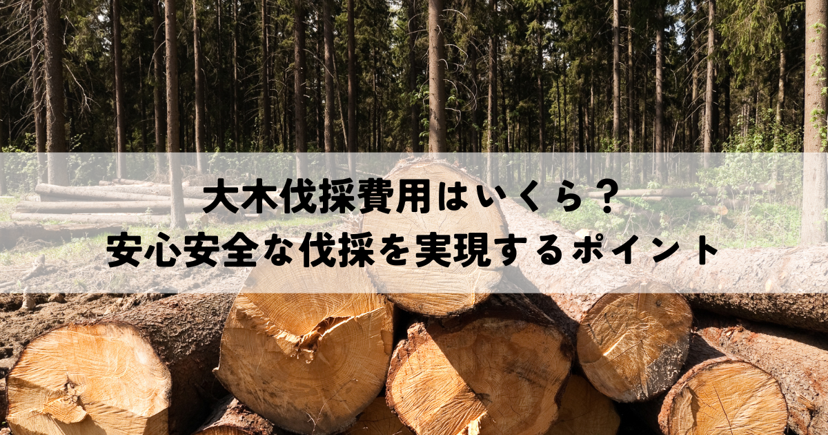 大木伐採費用はいくら？安心安全な伐採を実現するためのポイントを解説