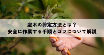 庭木の剪定方法とは？安全に作業する手順とコツについてわかりやすく解説