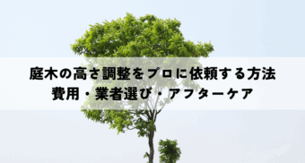 庭木の高さ調整をプロに依頼する方法とは？費用・業者選びからアフターケアまで解説