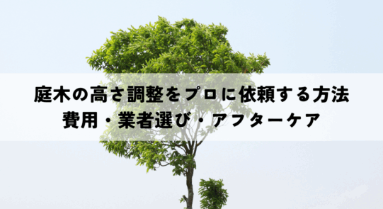 庭木の高さ調整をプロに依頼する方法とは？費用・業者選びからアフターケアまで解説