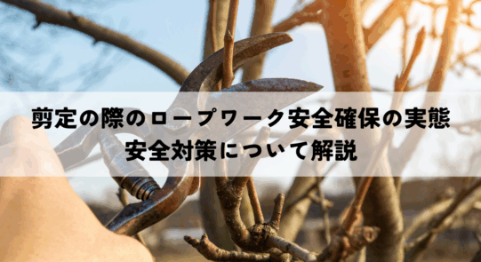 剪定の際のロープワーク安全確保の実態とは？安全対策についてわかりやすく解説