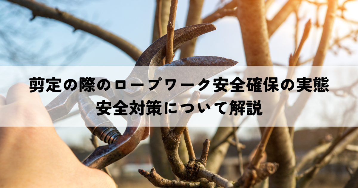 剪定の際のロープワーク安全確保の実態とは？安全対策についてわかりやすく解説