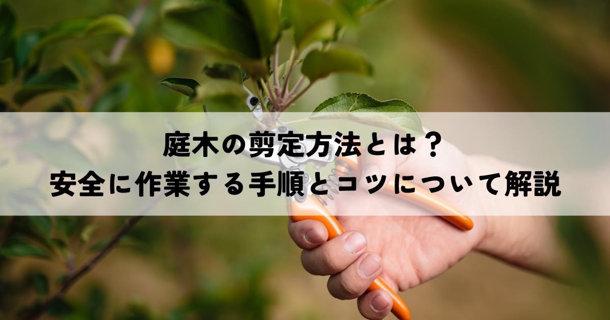 庭木の剪定方法とは？安全に作業する手順とコツについてわかりやすく解説