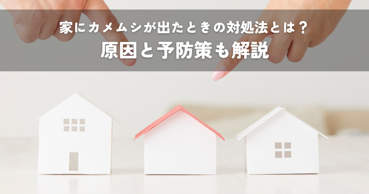 家にカメムシが出たときの対処法とは？原因と予防策も解説
