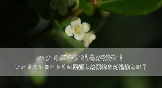 ハナミズキに毛虫が発生！アメリカシロヒトリの巣網と効果的な対処法とは？