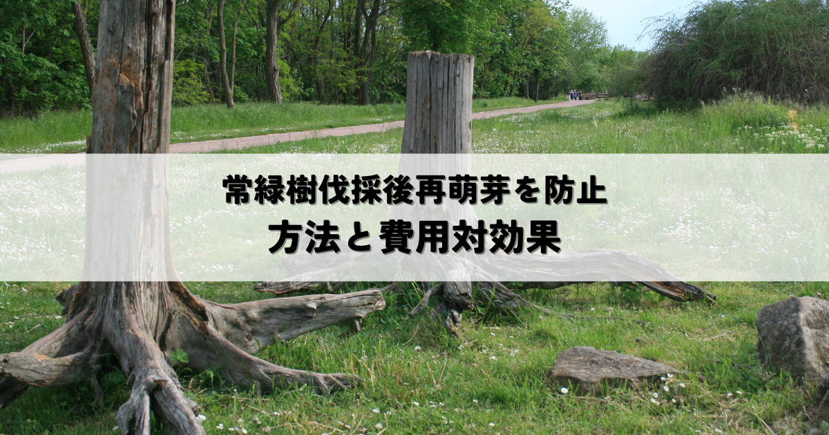 常緑樹伐採後再萌芽防止策と除草剤活用法