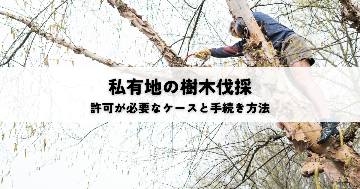 私有地の樹木伐採で許可が必要なケースと手続き方法を解説