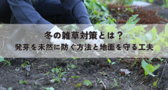 冬の雑草対策とは？発芽を未然に防ぐ方法と地面を守る工夫