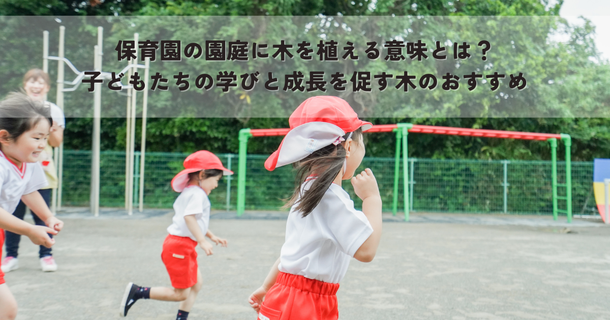 保育園の園庭に木を植える意味とは？子どもたちの学びと成長を促す木のおすすめ