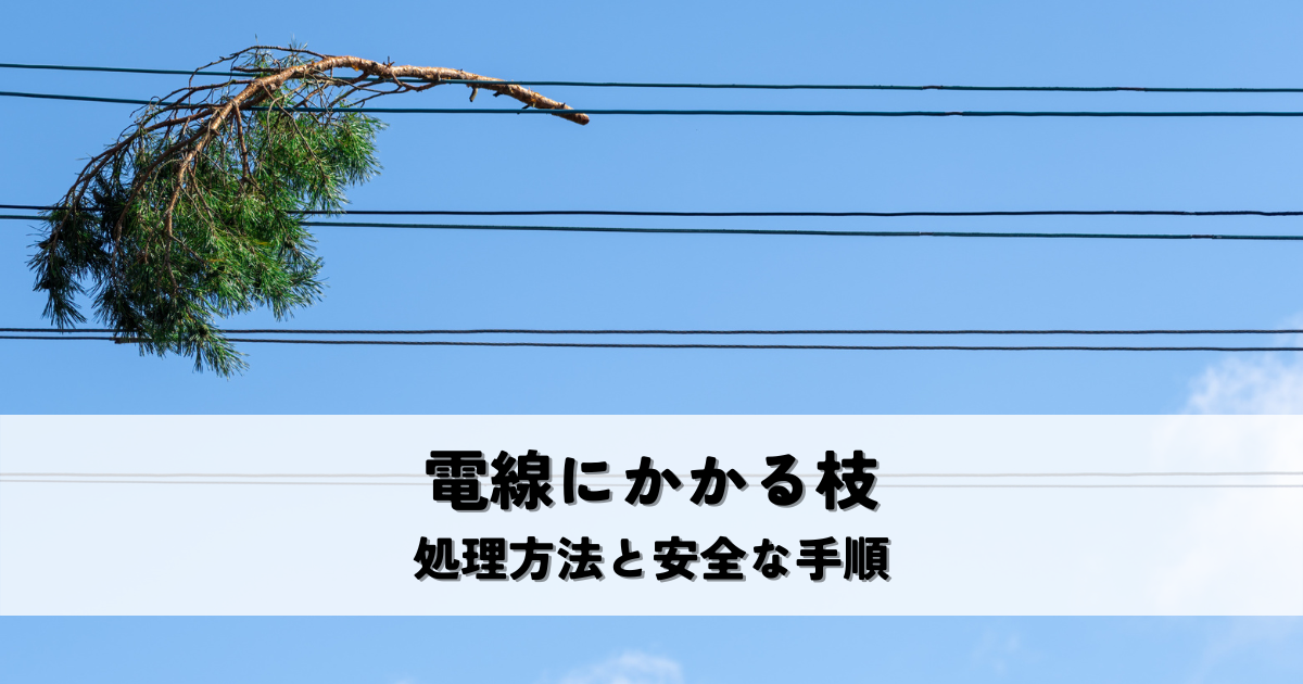 電線にかかる枝の処理はどうする？危険な作業はプロに任せよう