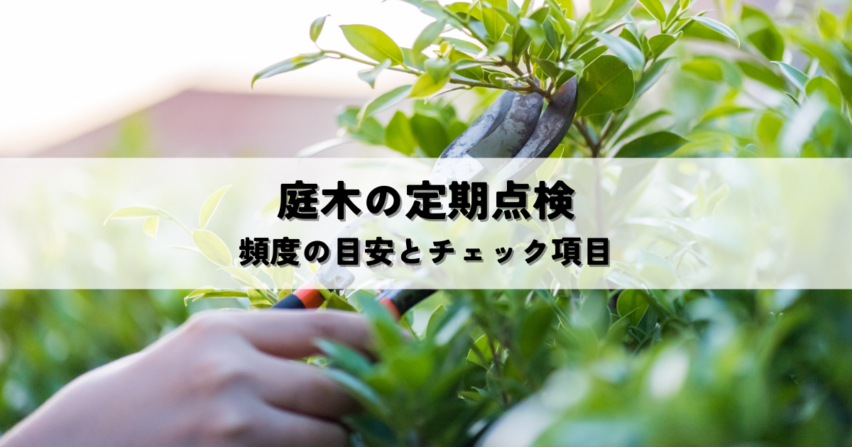 庭木定期点検頻度の目安と確認事項