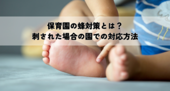 保育園の蜂対策とは？刺された場合の園での対応方法