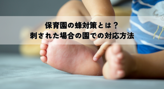 保育園の蜂対策とは？刺された場合の園での対応方法