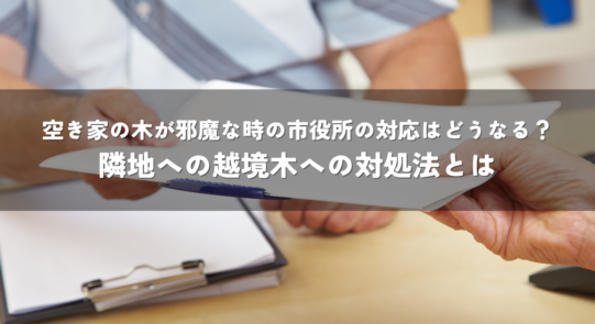 空き家の木が邪魔な時の市役所の対応はどうなる？隣地への越境木への対処法とは