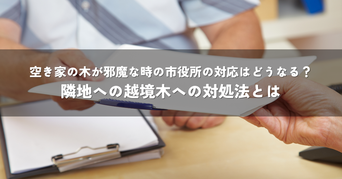 空き家の木が邪魔な時の市役所の対応はどうなる？隣地への越境木への対処法とは