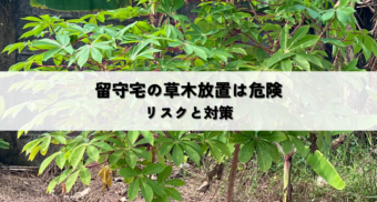 留守宅の草木放置で起こるリスクと対策方法
