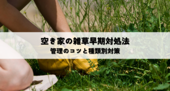 空き家雑草早期対処法スケジュール管理で快適な環境を維持