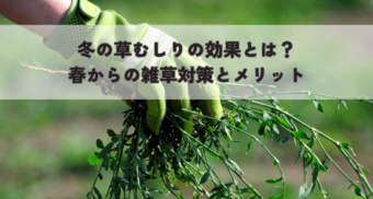 冬の草むしりの効果とは？春からの雑草対策とメリット