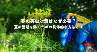 春の害虫対策はなぜ必要？夏の繁殖を防ぐための具体的な方法とは