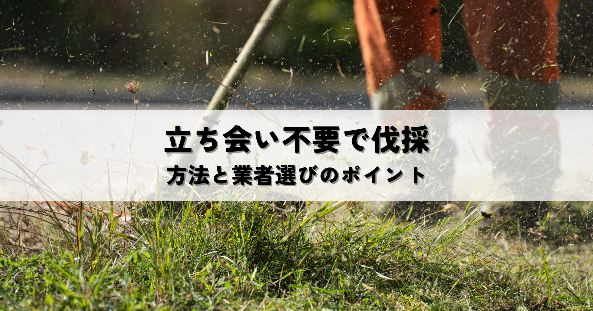 立ち会い不要で伐採を依頼する方法と業者選びのポイント