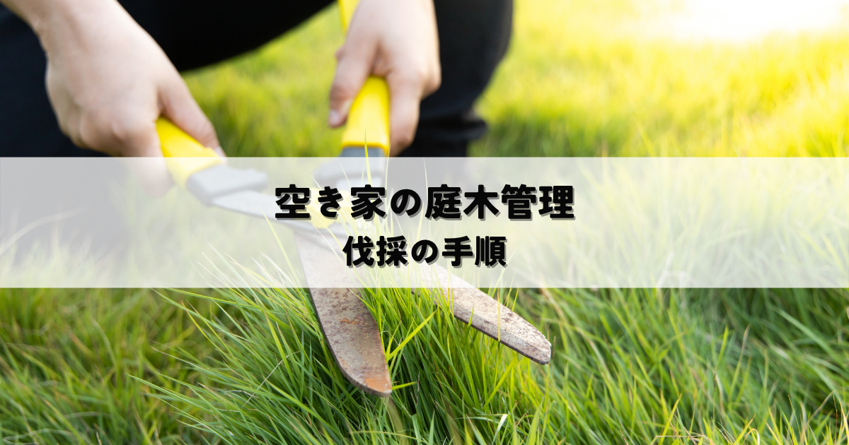 空き家の庭木管理とは？伐採の手順を解説