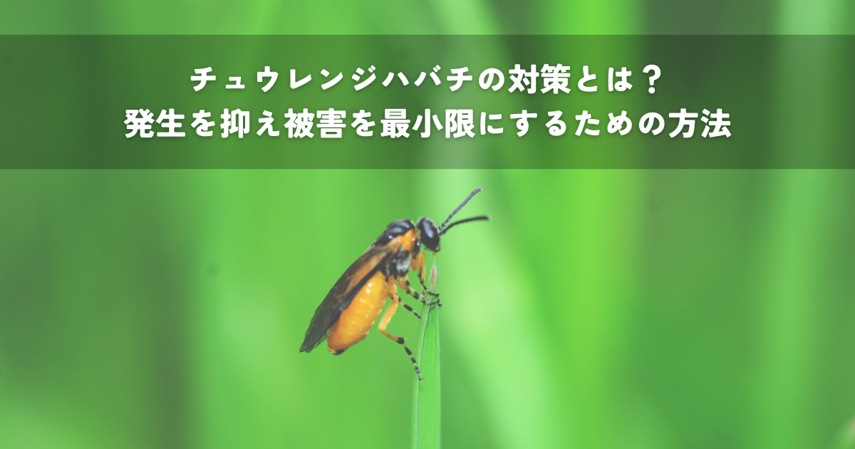チュウレンジハバチの対策とは？発生を抑え被害を最小限にするための方法